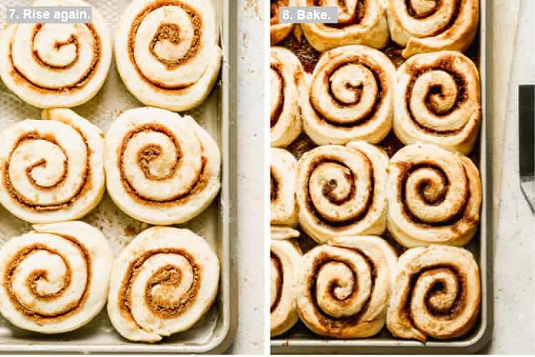 Two process photos of Cinnamon rolls on a baking tray before and after they're baked.